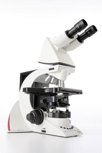 DM3000